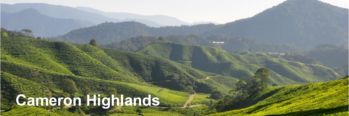 3D2N Cameron Highlands EX-KL